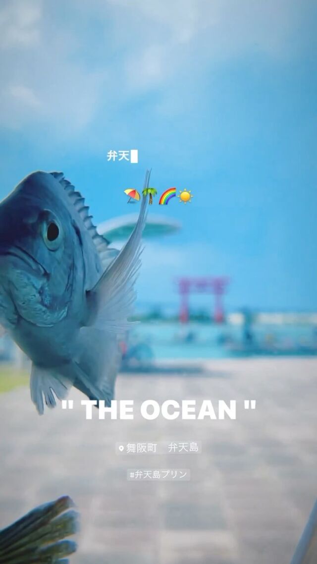 8月、9月のストーリー振り返り🌞🌴🌺✨
色々な方に出会えた素敵な夏でした☀️

ストーリーではその時の弁天島を伝えていこうと思ってます！

『○○が見たい』『○○は今どんな感じ？』など
DMにてリクエスト受付中です😊

 #弁天島
 #弁天島カフェ
 #弁天島海浜公園 
 #絶景パワースポット 
 #鉄道ファン