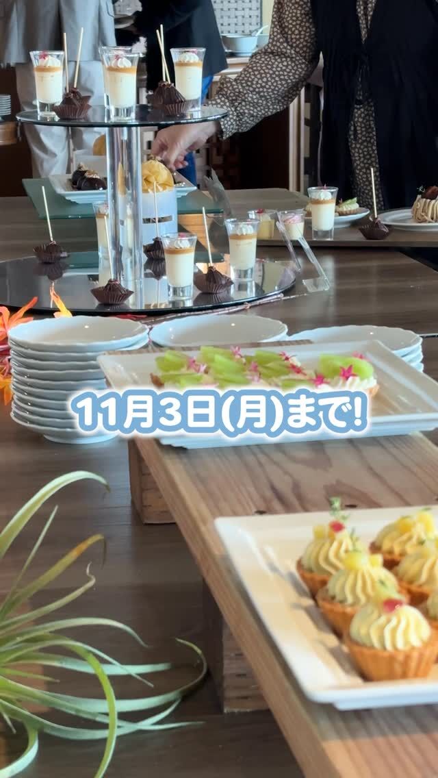 プロフィール左上の、ピン止め投稿からも詳細をご確認いただけます📍
⁡
⁡
ーーーーーーーーーーーーーーーーーーーーーーーーー
プロフィールはこちら↓↓↓
@the_akatorii_ocean
⁡
⁡
【営業時間】
11:00～14:00（火・水曜定休）
⁡
⁡
【お問い合わせ先】
公式HPのお問い合わせメール、または電話(053-592-1155)にお願いいたします。
⁡
⁡
ーーーーーーーーーーーーーーーーーーーーーーーーー
⁡
#ジオーシャン #弁天島 #浜名湖 #浜松ランチ #浜名湖ランチ #ハロウィン #ハロウィンビュッフェ #秋の収穫祭