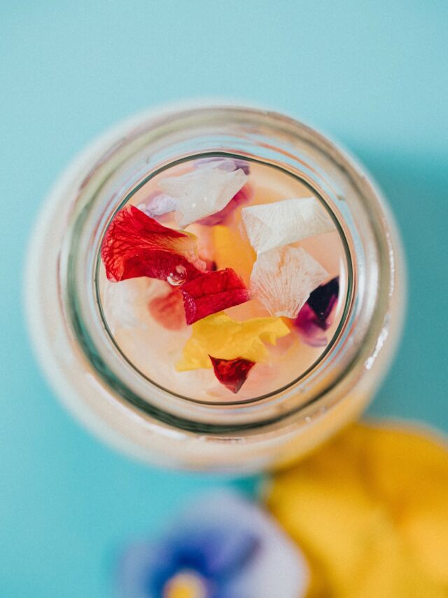 【本日販売スタート！】
⁡
浜名湖花フェスタ２０２６の開催にあたり、弁天島カフェでは限定の弁天島プリン「花」を販売します🍮🌸
⁡
⁡
【販売期間】
２０２６年３月２０日（金）～６月７日（日）
⁡
【価格】
４５０円
⁡
【販売場所】
ジオーシャン１階 弁天島カフェ
⁡
⁡
上にはエディブルフラワー入りの爽やかな甘さのゼリー🌸
⁡
下のプリンは通年販売している「うずら」味です🍮
浜名湖ファーム様のうずらの卵を使用しているなめらかなプリンです。
⁡
⁡
期間限定のプリンをぜひお楽しみください✨️
⁡
⁡
ーーーーーーーーーーーーーーーーーーーーーーーーー
プロフィールはこちら↓↓↓
@bentenjima_cafe_ocean
⁡
【営業時間】
11:30～20:00（火曜定休）
⁡
【お問い合わせ先】
公式サイトのお問い合わせメール、または電話(053-592-1155)にお願いいたします。
⁡
ーーーーーーーーーーーーーーーーーーーーーーーーー
#ジオーシャン #弁天島プリン #浜名湖花フェスタ #花フェスタ