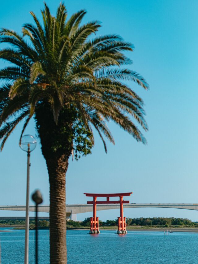 8/10(月)〜8/23(日)、期間限定ランチを予定しています🍴

メニューなど詳細は後日お知らせします📢
⁡
ーーーーーーーーーーーーーーーーーーーーーーーーー

📍静岡県浜松市中央区舞阪町弁天島3285-88
🚃JR弁天島駅から徒歩3分
📞053-592-1155
⁡
ーーーーーーーーーーーーーーーーーーーーーーーーー
#ジオーシャン #浜松ランチ #浜名湖ランチ